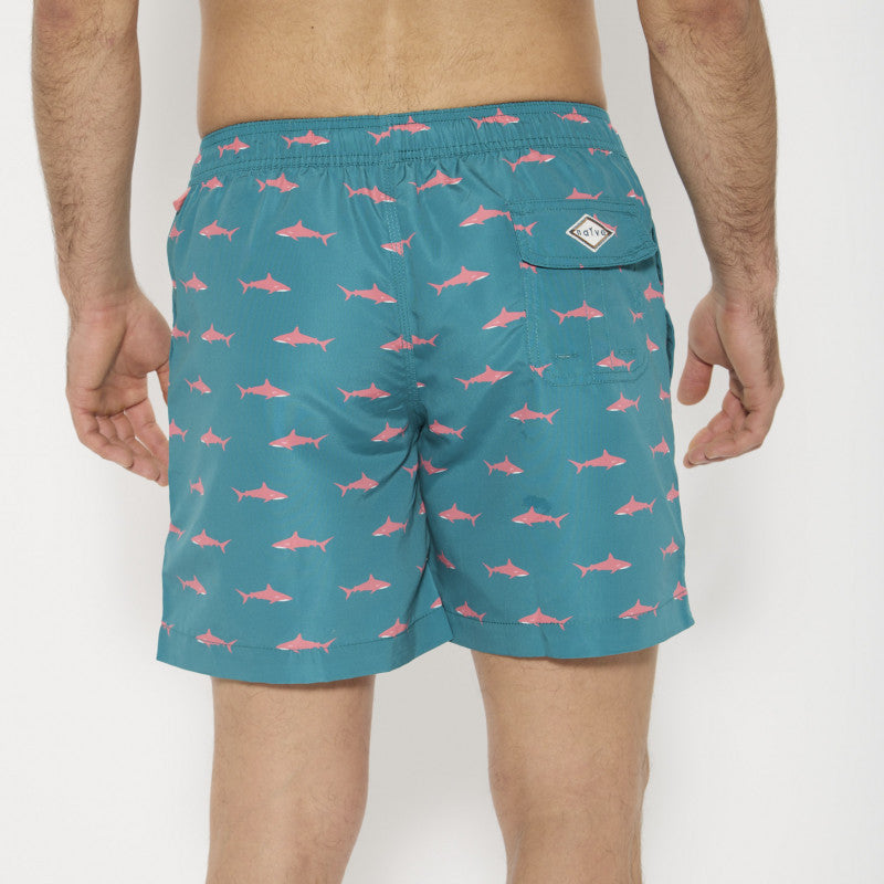 Tiburones