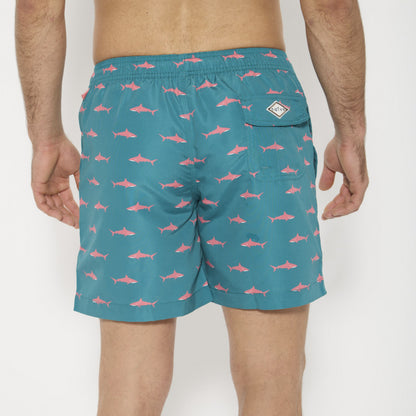 Tiburones