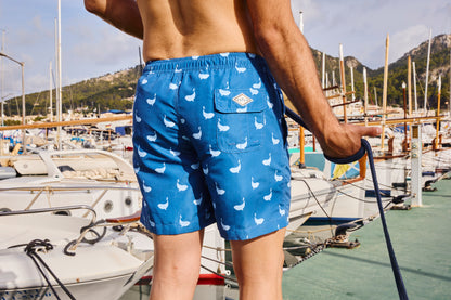 Ballenas